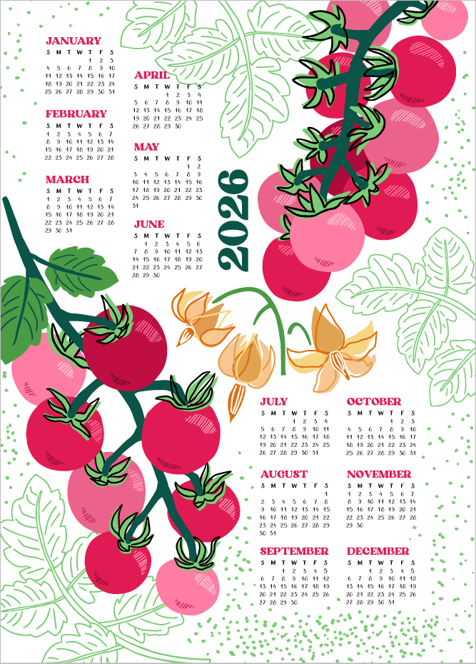 Festive Beverage Illustration